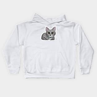 Sassy kitty Kids Hoodie